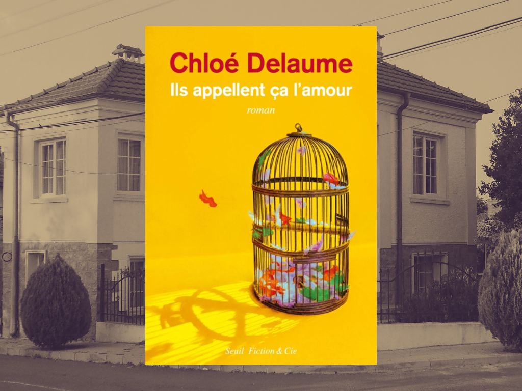 Ils appellent ça l’amour, Chloé Delaume : Mon avis