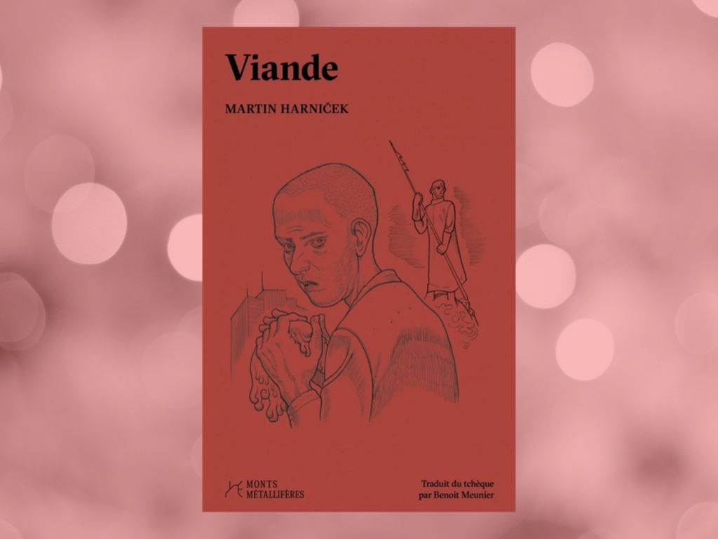 Viande de Martin Harníček : mon avis sur cette dystopie